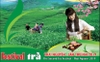 Chè Thái Nguyên Tưng Bừng Trong Festival