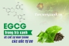 Tác dụng của Chất EGCG trong Trà Thái Nguyên với Sức Khỏe Con Người