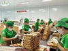 TIÊU CHUẨN SẢN XUẤT TRÀ THÁI NGUYÊN TẠI NHÀ MÁY TÂN CƯƠNG XANH