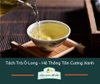 Trà Ô Long Đại Việt - Qùa Tặng Cao Cấp