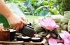 Trà sen Tây Hồ - Hành trình từ nguồn gốc cổ xưa đến biểu tượng văn hóa ngàn đời
