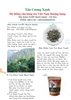 Trà Shan tuyết – Nâng tầm giá trị trà Việt