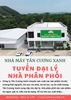 Trà Tân Cương Thái Nguyên Thương Hiệu Tân Cương Xanh