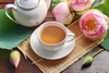 Trà ướp bông sen sấy và trà ướp bông sen tươi – Sự khác biệt mang đến trải nghiệm khác biệt