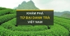 Tứ đại danh trà – Gọi tên những dòng trà nào?