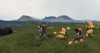 Đĩa Game Death Stran Ding Directors Cut PS5