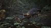 Metal Gear Solid Δ Snake Eater – Tactical Edition