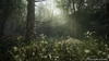 Metal Gear Solid Δ Snake Eater – Tactical Edition