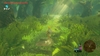 The Legend of Zelda Breath of the Wild Nintendo Switch 2
