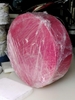 thớt nhựa tròn 45 cm