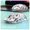 Chuột không dây K-SNAKE BM560 kết nối 3 chế độ BT - 2.4G - Type-C với thiết kế trong suốt xuyên thấu đèn led RGB cực đẹp kèm theo độ nhạy lên đến 3600DPI