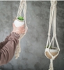 Treo cây Macrame