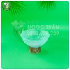CHÉN NHỰA ĂN CƠM - [ MÀU TRONG/ TRẮNG/ SỮA]