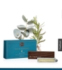 NƯỚC HOA Ô TÔ RITUALS CHẢNH VÔ CÙNG  SET GỒM 1 THANH KÈM HAI LÕI SÁP NƯỚC HOA DÙNG NỬA NĂM MỚI HẾT