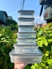 Set 7 hộp nhựa Million Pack (3 h320ml +02/380ml+1/870ml +1/1700ml)