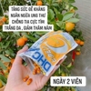 VIÊN UỐNG DHC - VITAMIN C - 120 VIÊN/60 NGÀY