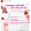 Collagen Menard - Collagen nội sinh hàng đầu Nhật Bản