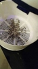 ĐÈN CHỐNG MUỖI Mosquito killer Nhật Bản