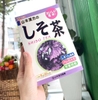 TRÀ TÍA TÔ SHISO