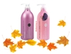 BỘ DẦU GỘI XẢ SALON LINK EXTRA - 1000ml