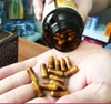 Tinh chất hàu tươi Kaki Ekisu Premium