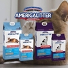 Cát vệ sinh cho mèo America Litter 10L