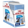 Pate cho chó Royal Canin Maxi puppy 140g