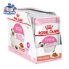 pate cho mèo royal canin