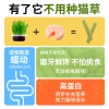 Thanh Cỏ Cho Mèo Mix Thịt Gà Tiêu Búi Lông