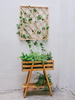 ANhome Plant Decoration - Giàn leo gỗ 650:750 cm