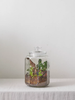 ANhome - Terrarium lục giác