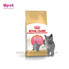 Thức ăn hạt Royal Canin British Shorthair dành riêng cho mèo anh lông ngắn