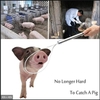 Gậy Bắt Heo