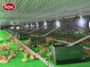 Máng cho vịt ăn tự động Giải pháp hiệu quả cho chăn nuôi vịt