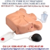 MÔ HÌNH CHỌC DÒ MÀNG TIM, PHỔI LF03769U NASCO