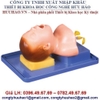 MÔ HÌNH ĐẶT NỘI KHÍ QUẢN CHO TRẺ SƠ SINH GD/J15