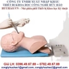 MÔ HÌNH ĐẶT NỘI KHÍ QUẢN NGƯỜI LỚN BÁN THÂN GD/J5S