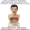 MÔ HÌNH RỬA DẠ DÀY TRONG SUỐT GD/H7-1 CÓ CẢNH BÁO