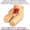 MÔ HÌNH THỰC HÀNH THÁO THỤT GD/H35