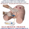 MÔ HÌNH ĐẶT ỐNG THÔNG TIỂU NỮ GD/H17F