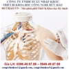 MÔ HÌNH TIÊM CƠ BẮP TAY CÓ CẢNH BÁO ĐIỆN TỬ M155