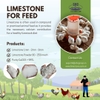 Limestone for Feed in Australia: A Vital Resource for Livestock Nutrition
