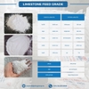 Limestone Feed Grade - The important ingredient in Layer Feed
