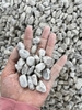 GREY PEBBLES