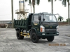 hoa-mai-4-95-tan-2-cau-2024