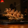 Ngựa Chevaux D’or Mã Đáo Thành Công