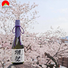 Rượu Sake Nhật Dassai Junmai Daiginjo 23 720ml (Hộp gỗ)