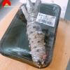 Củ mù tạt wasabi tươi 100g/PAC/Kg (tạm hết hàng)