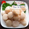 Hotate Size S (31/35 con)- Sò điệp 1kg