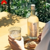 Rượu Shochu Ginrei Shiro 25% 720ml Nhật Bản (SB)
